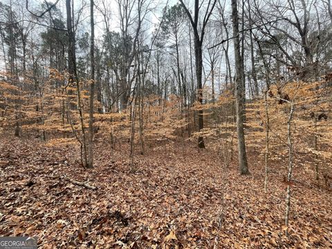 0 US HWY 100 Franklin GA 30217