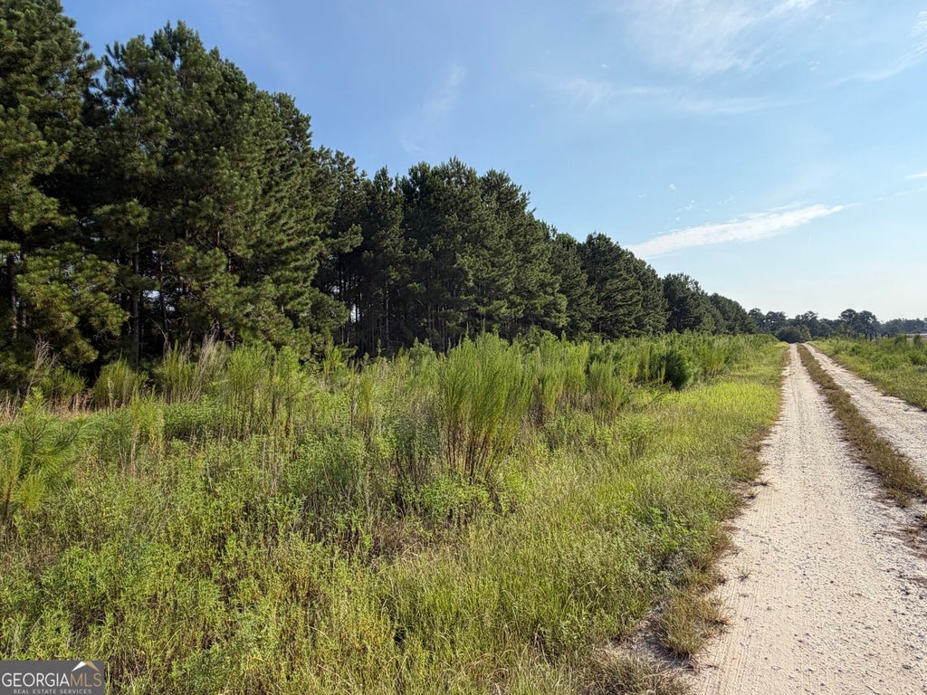 Photo of 0 Highway 296, Stapleton, GA 30823 (MLS # 10830899)