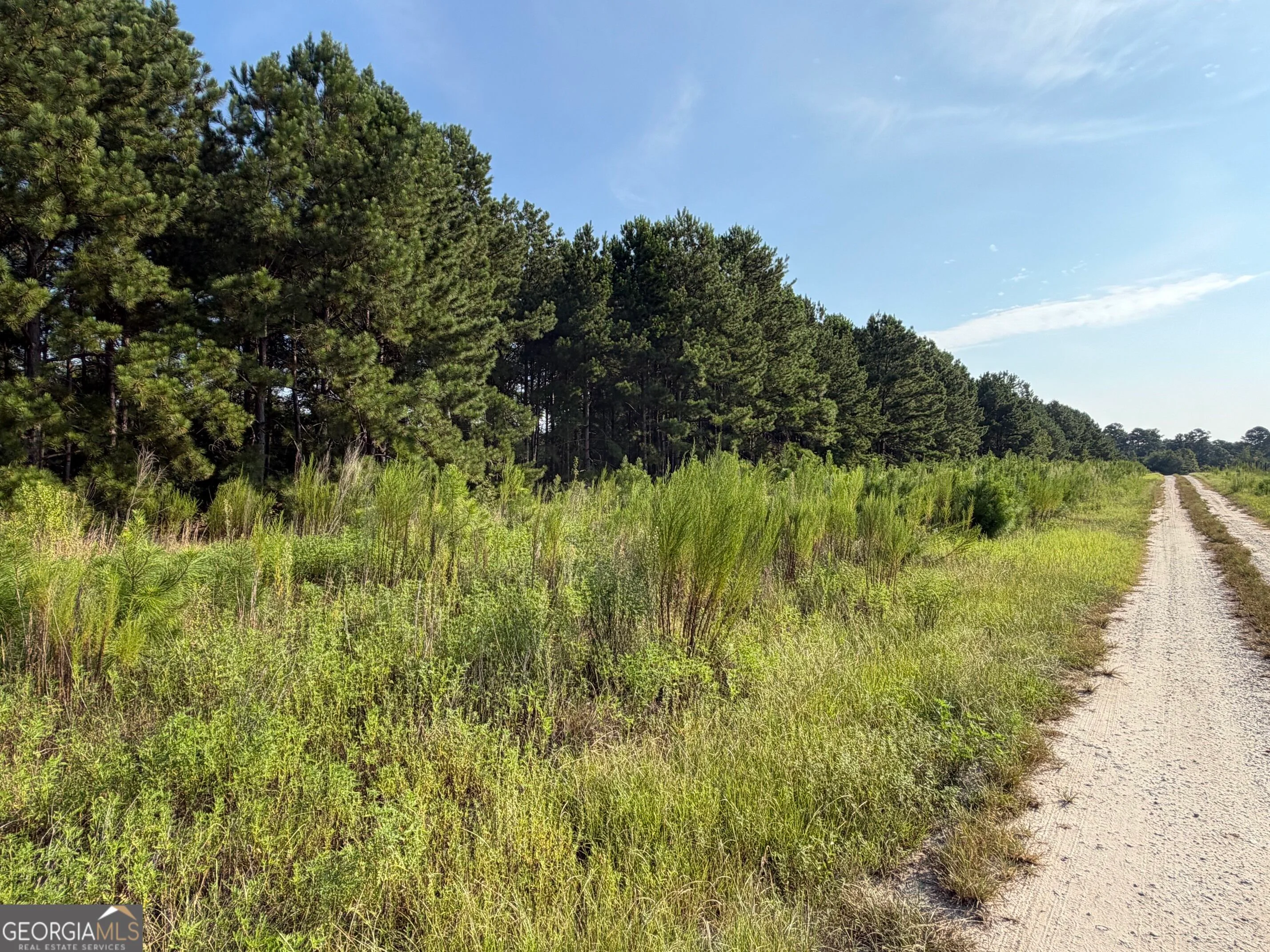 0 Highway 296, Stapleton, GA, 30823