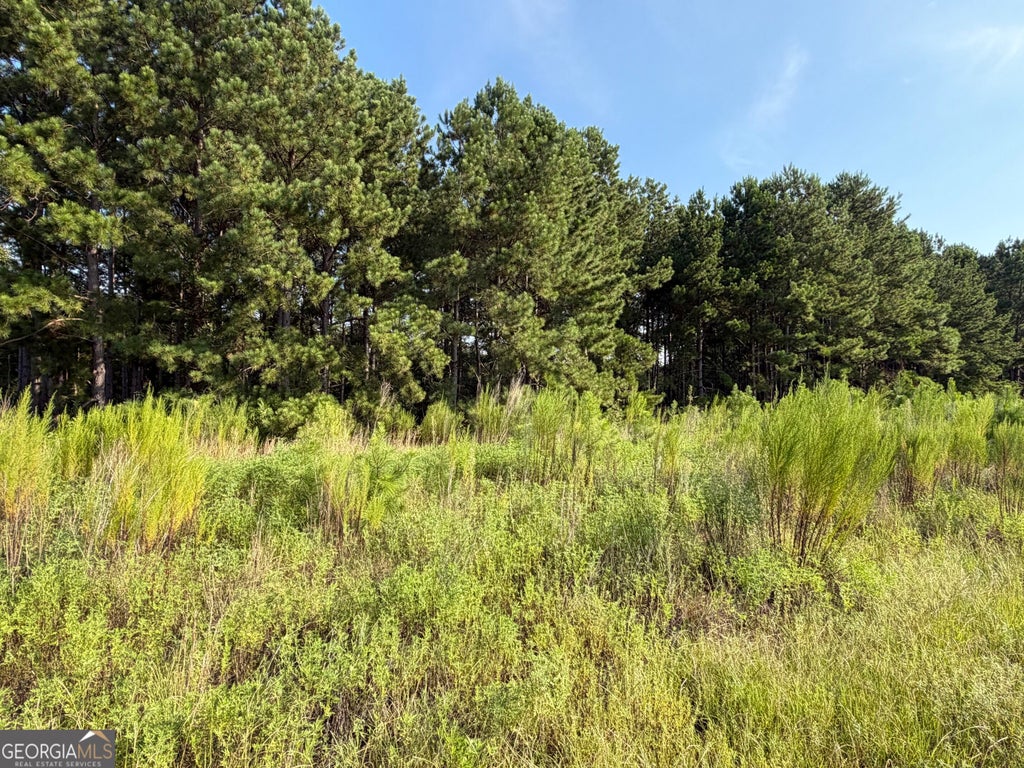 Photo of 0 Highway 296, Stapleton, GA 30823 (MLS # 10830899)