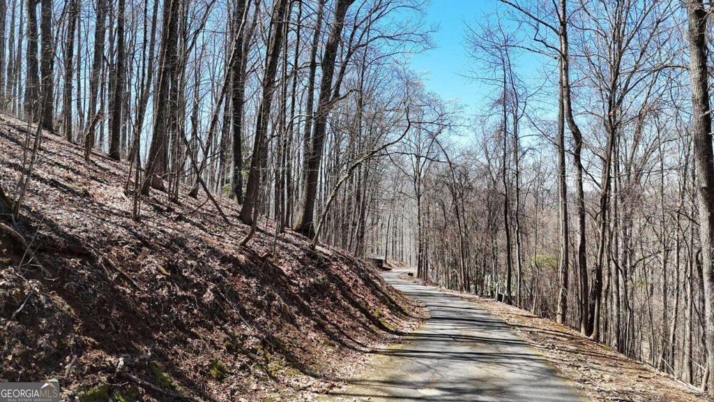 Photo of 100 Timberline Acres #100, Young Harris, GA 30582 (MLS # 10721469)