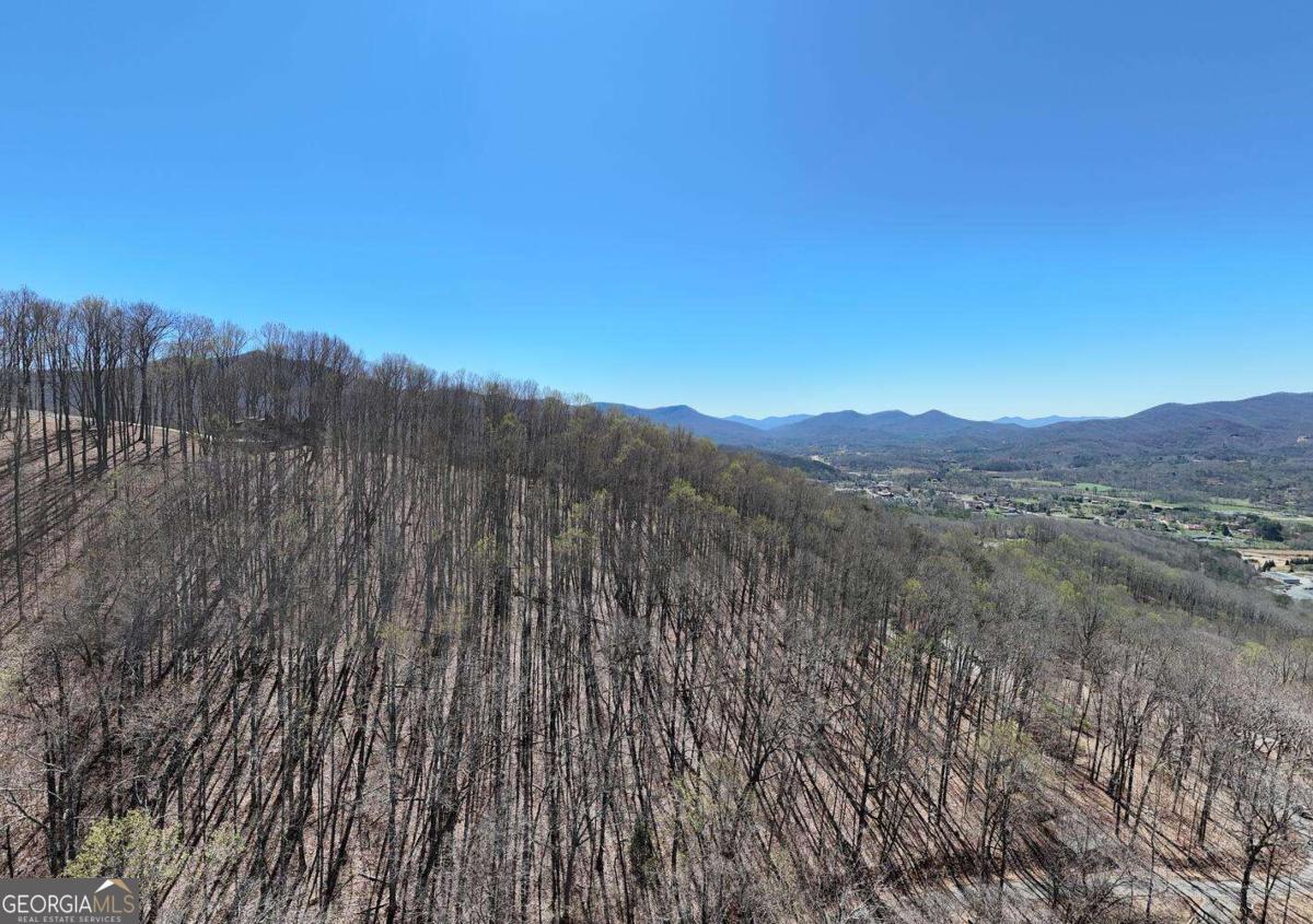 LOT 100 Timberline Acres 100