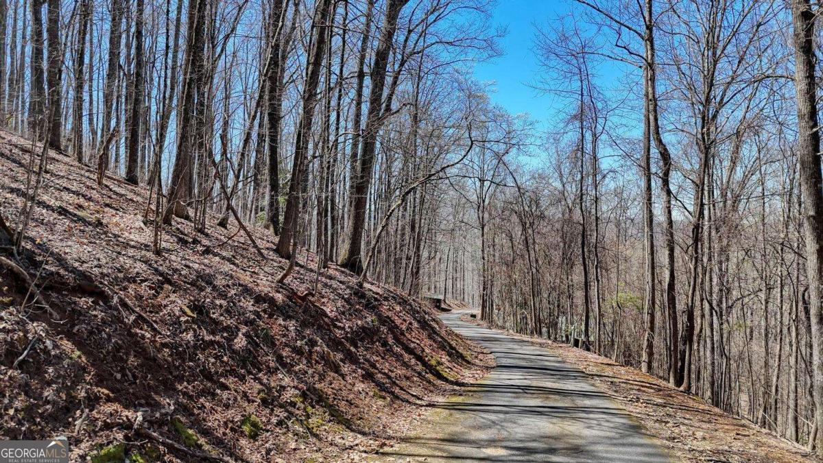 LOT 100 Timberline Acres 100