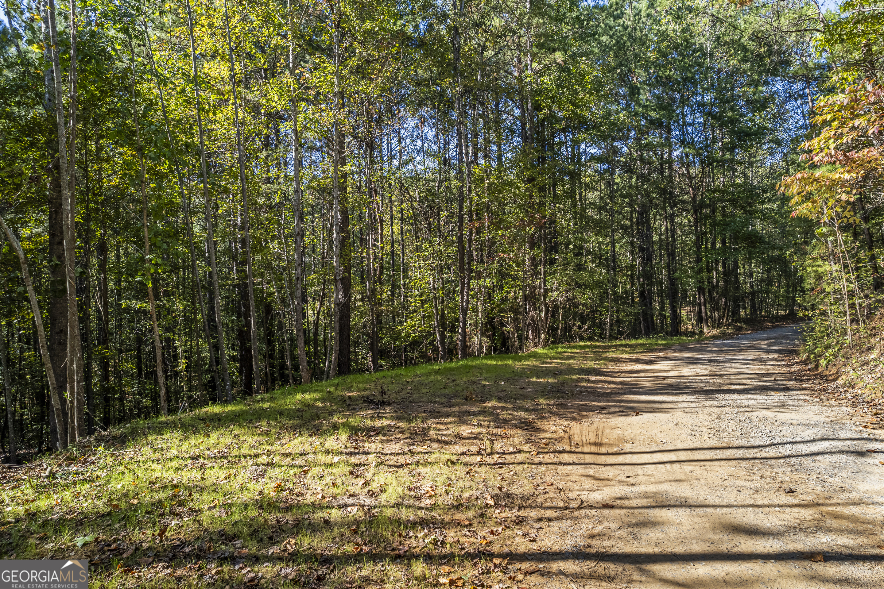 367 Old Hwy 2