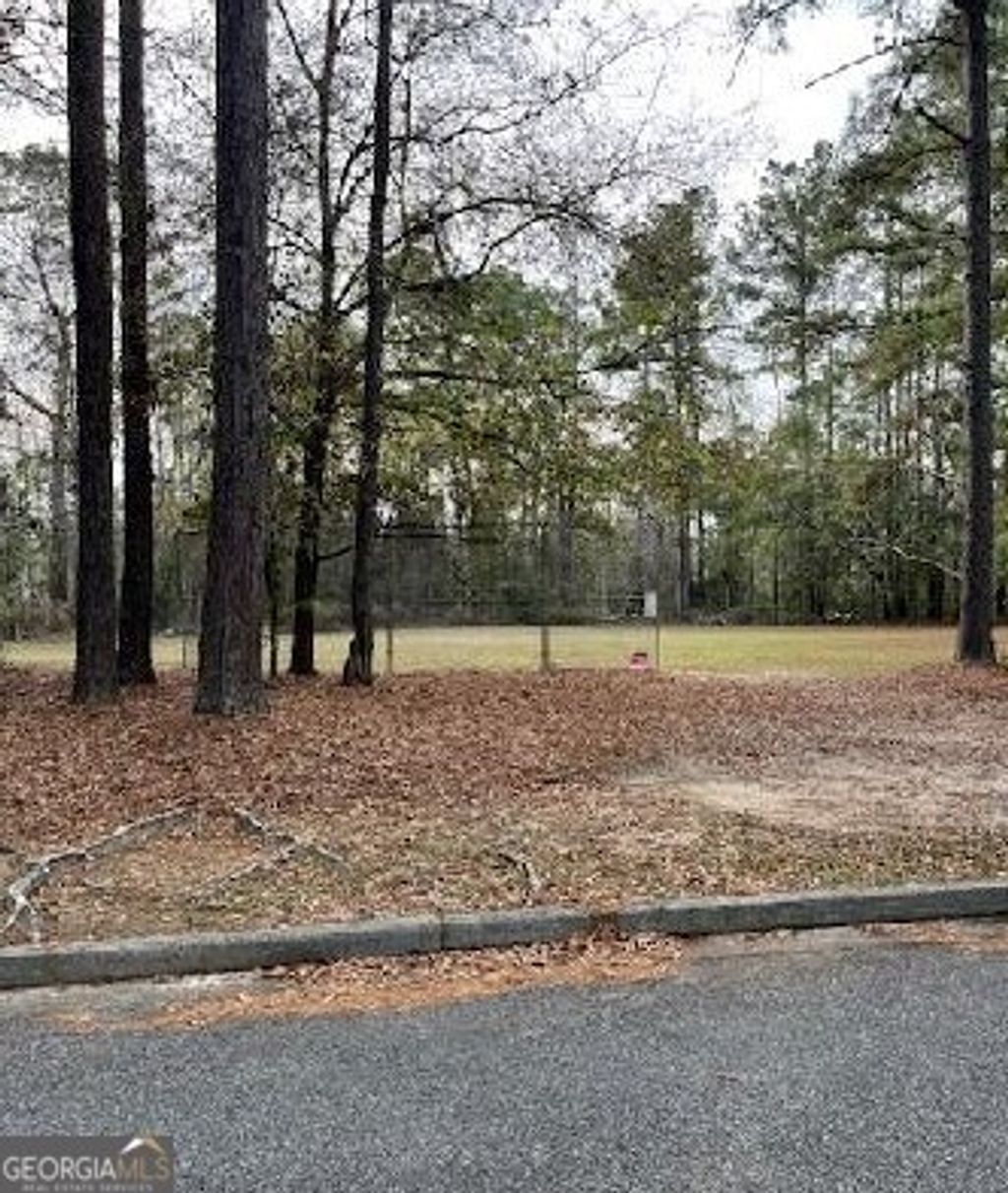 Photo of 4716 Misty Valley Circle, Valdosta, GA 31602 (MLS # 10699279)