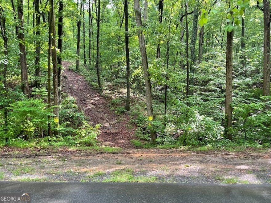 Disconnect from it all on this thirty-acre wooded sanctuary just an hour's drive from downtown Atlanta and a few minutes from downtown Jasper, a quaint area offering all the conveniences of city living without the stress. Be transported into a landscape of rolling hills, diverse wildlife, hidden waterfalls, and jaw-dropping, panoramic views. Multiple points would serve as ideal locations to situate your on or off-grid mountain retreat. Some site work has been done to make the higher elevation areas easier to access, and a path now exists which is accessible by a stalwart all-terrain vehicle. It is truly a breathtaking tract of land and must be seen to be fully appreciated.