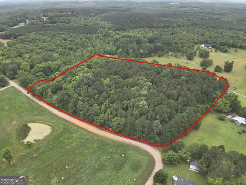 38 Bridges RD Carlton GA 30627