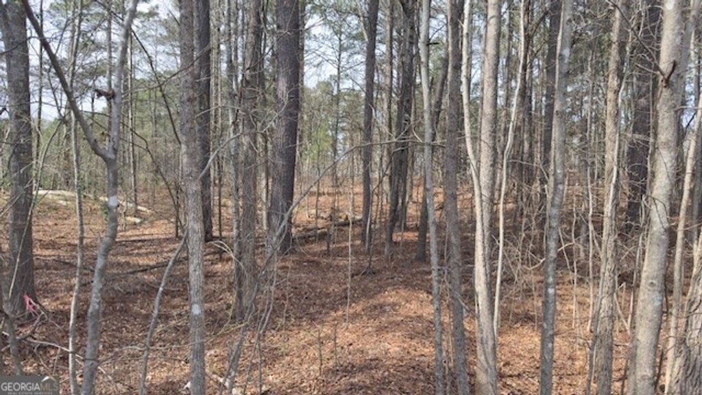 Photo of 32 Duval Court, Villa Rica, GA 30180 (MLS # 10701482)