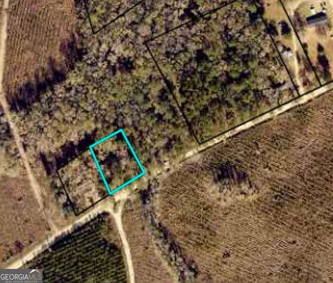COLESBURG-TOMPKINS RD V/L N/S COLESBURG-TOMPKINS RD Woodbine GA 31569
