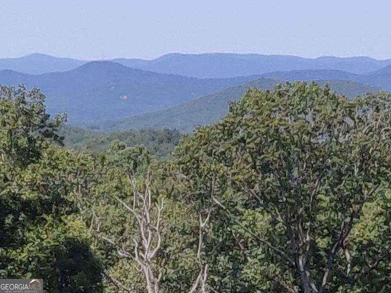 14.06 Old Burnt Mountain RD