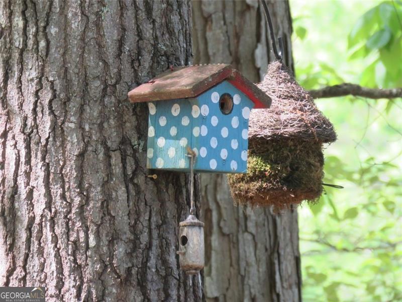 Galts Ferry Cottage Site Area - Residential