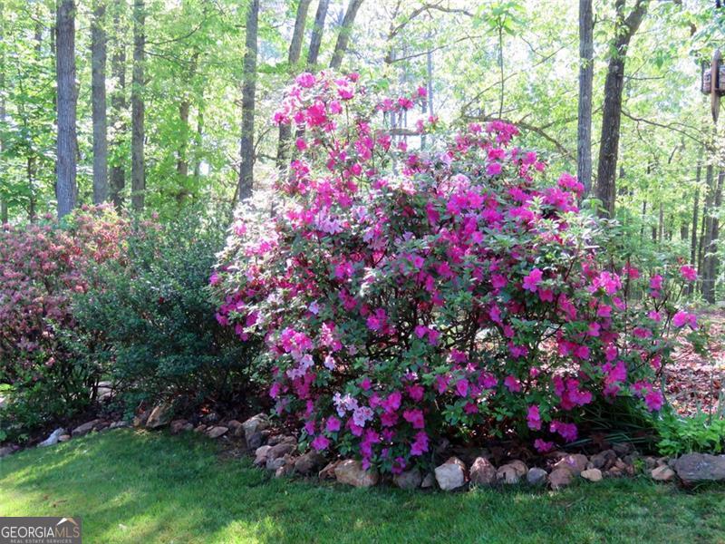 Galts Ferry Cottage Site Area - Residential