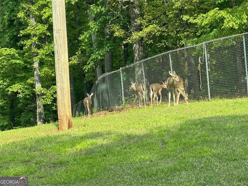 Galts Ferry Cottage Site Area - Residential