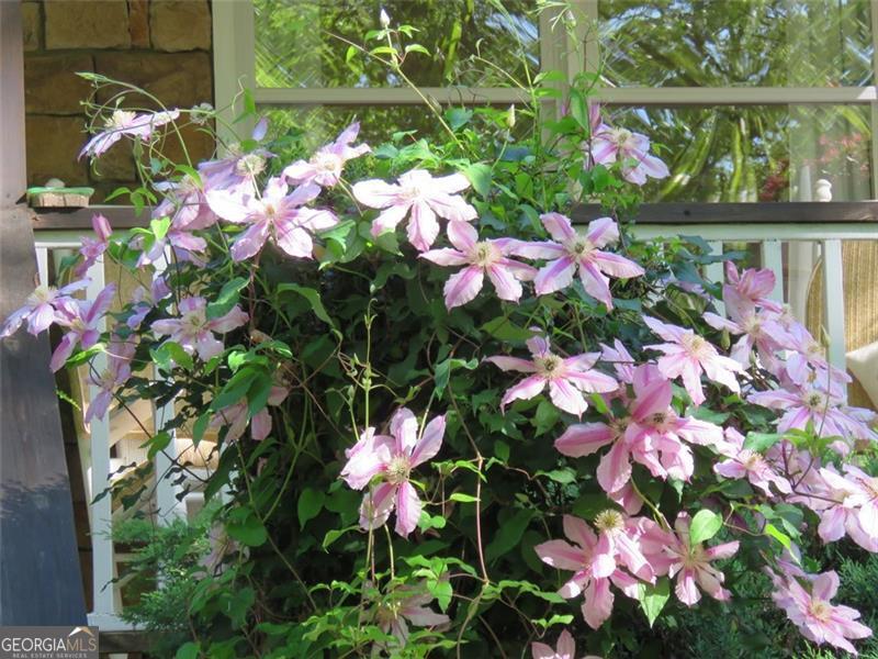 Galts Ferry Cottage Site Area - Residential