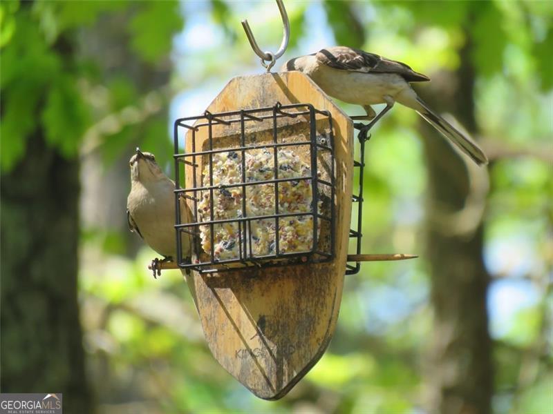 Galts Ferry Cottage Site Area - Residential
