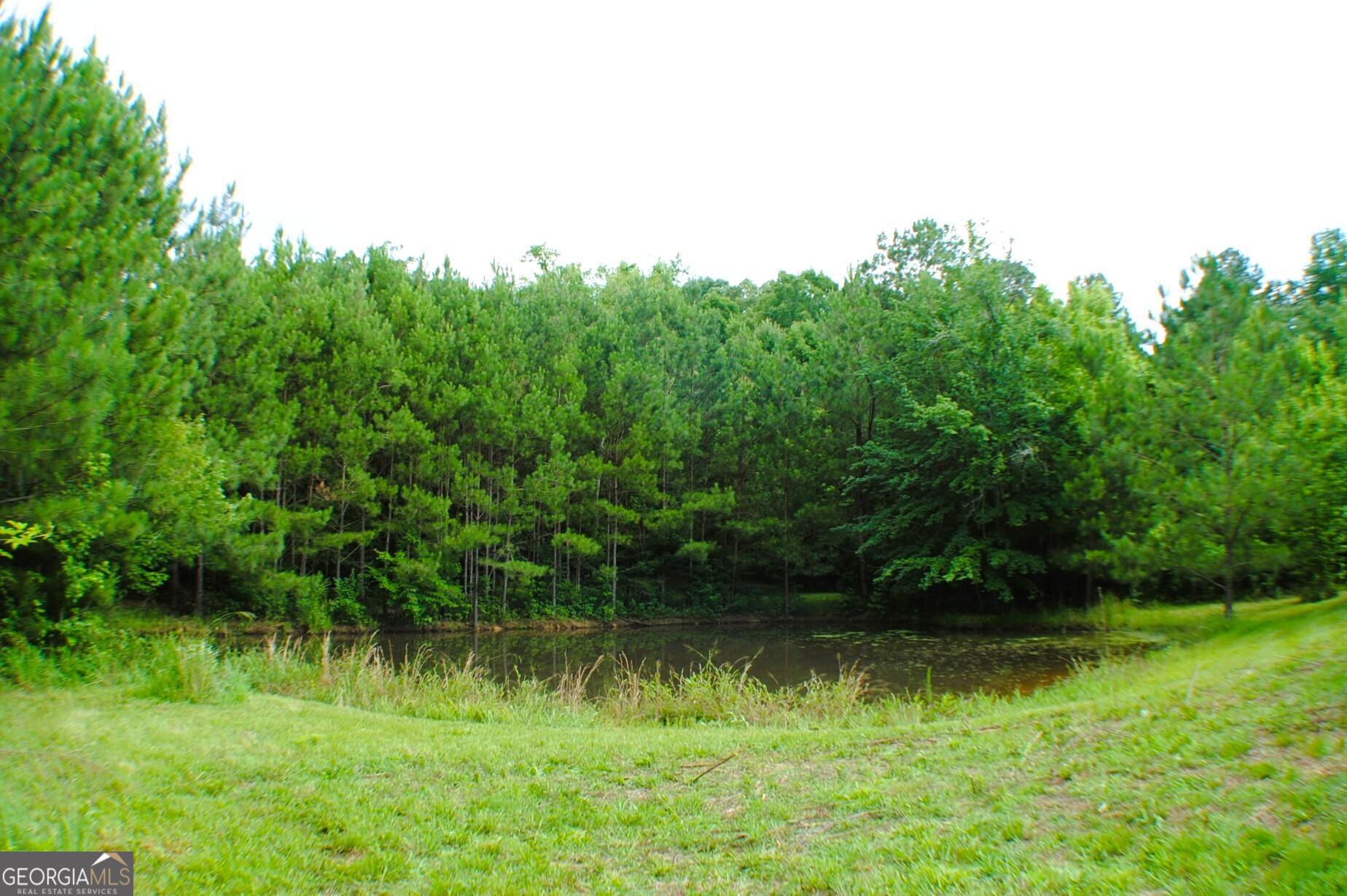 3602 Highway 41 HWY N