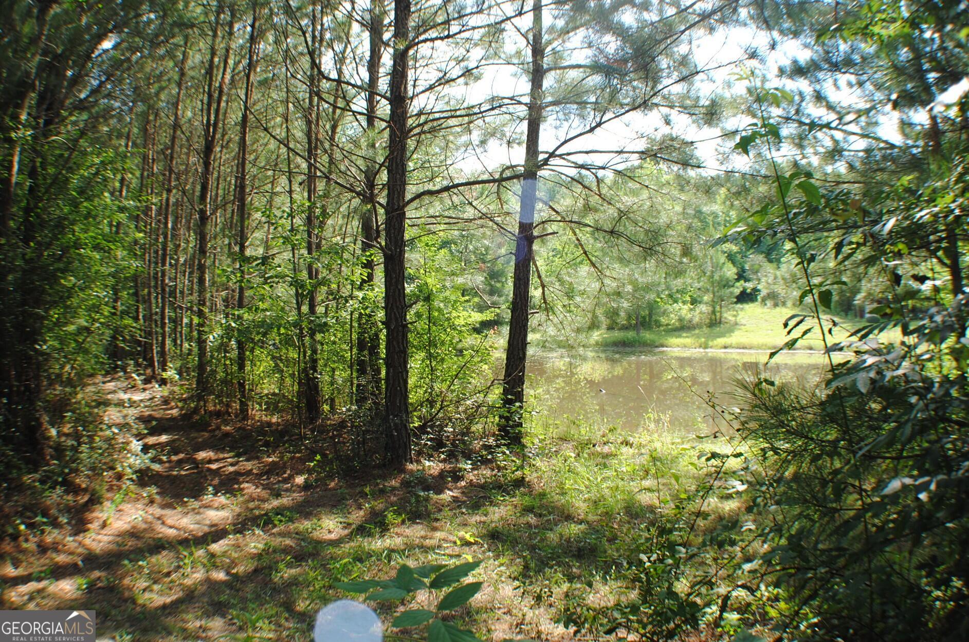3602 Highway 41 HWY N