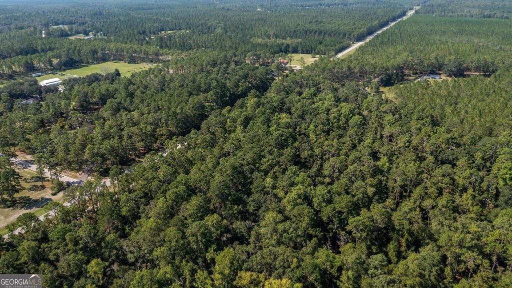 Photo of 0 Highway 121 Highway, Folkston, GA 31537 (MLS # 10741469)