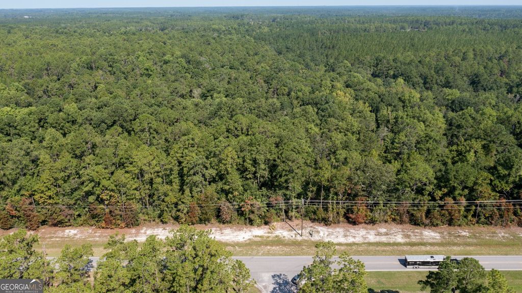Photo of 0 Highway 121 Highway, Folkston, GA 31537 (MLS # 10741469)