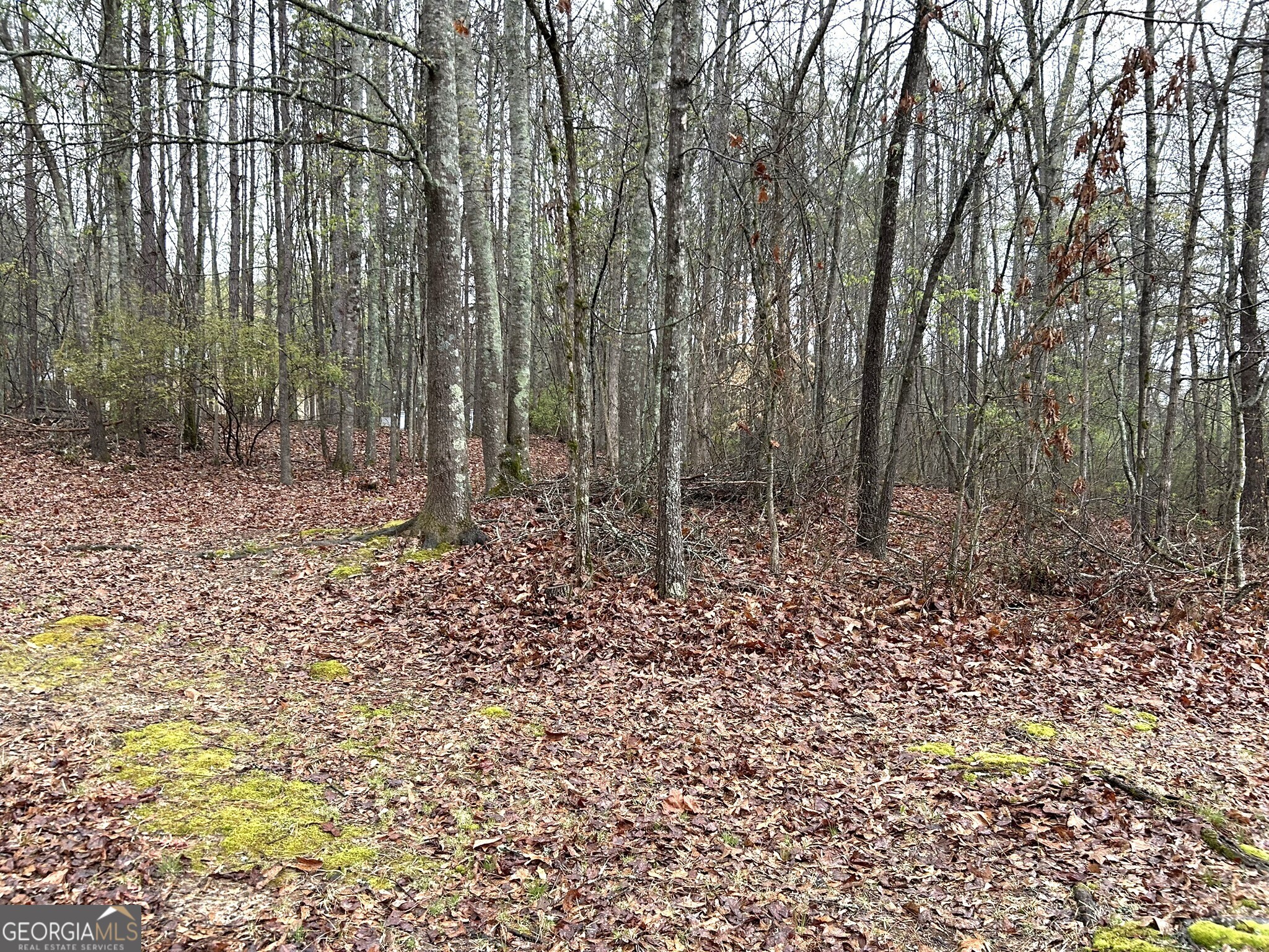 Carrollton, Georgia 30116, United States, ,Land,Active,100975