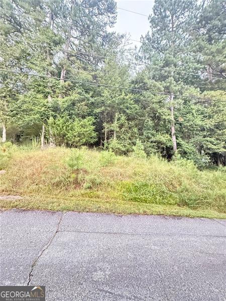 Don't miss this incredible opportunity to own a beautiful residential lot in the heart of Conyers! Located at 2569 Pinewood Dr NE, this spacious property offers the perfect sitting to build your dream home in a quiet, well-established neighborhood. Enjoy the peace and privacy of a wooded setting while still being conveniently located just minutes from shopping, dinning, schools, International Horse Park, and major highways. With easy access to I-20, commuting to Atlanta or surrounding areas in a breeze. Whether you're a builder, investor, or future homeowner, this lot is full of potential. Bring your vision and make it a reality!