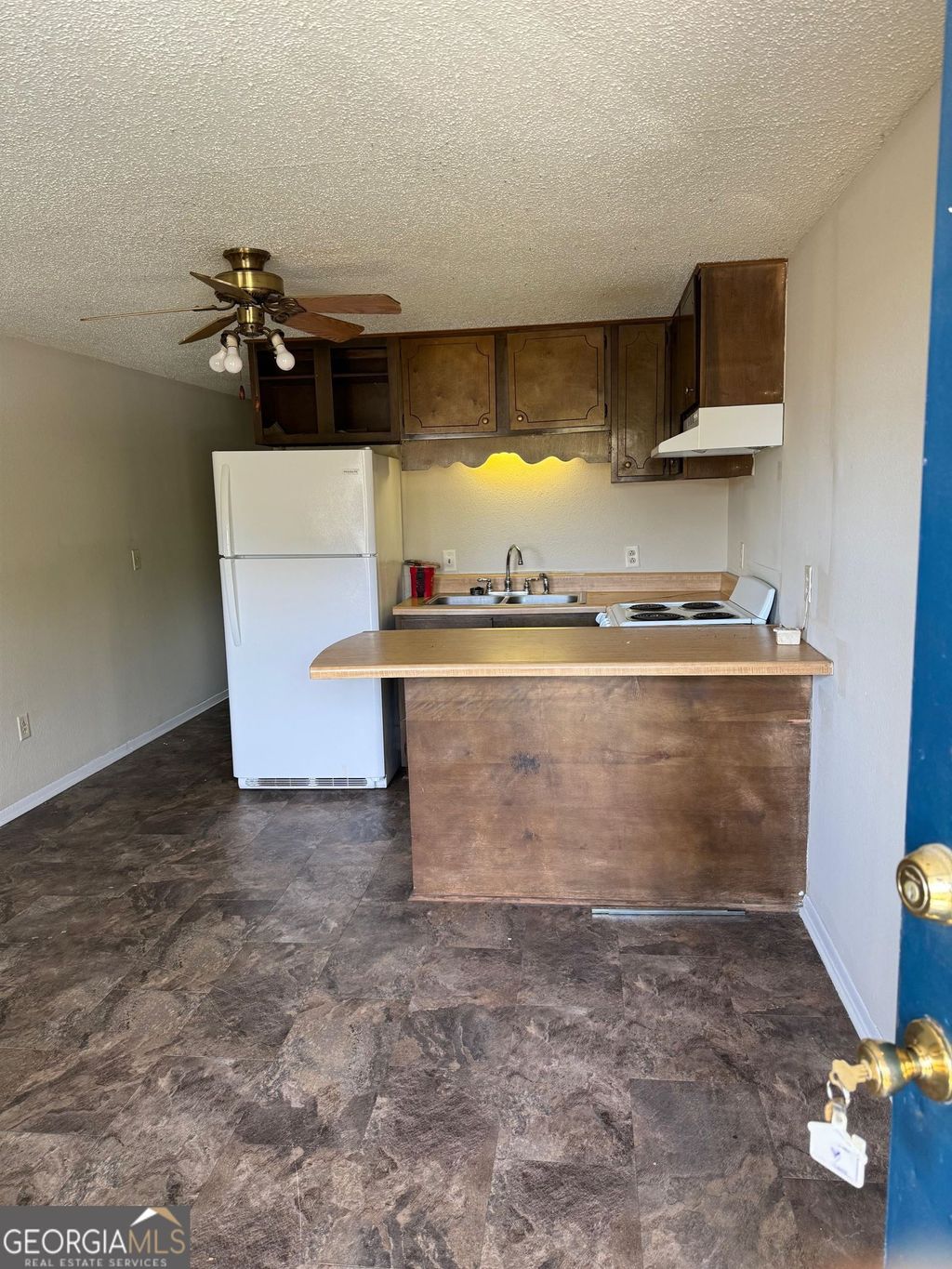 Photo of 123 Lanier Drive #7, Statesboro, GA 30458 (MLS # 10632334)