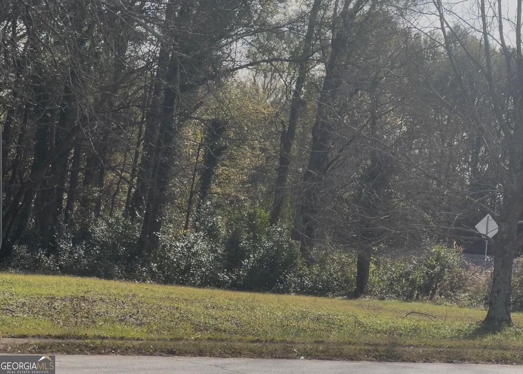 Photo of 146 Hampton Street, McDonough, GA 30253 (MLS # 10657317)