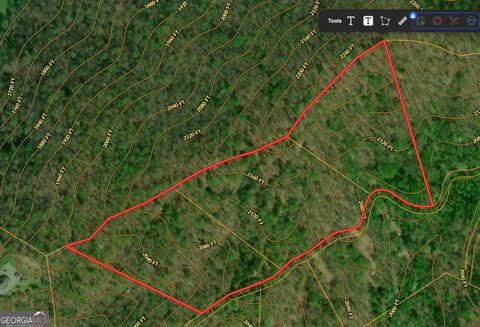 0 Manassas TRL Mineral Bluff GA 30559