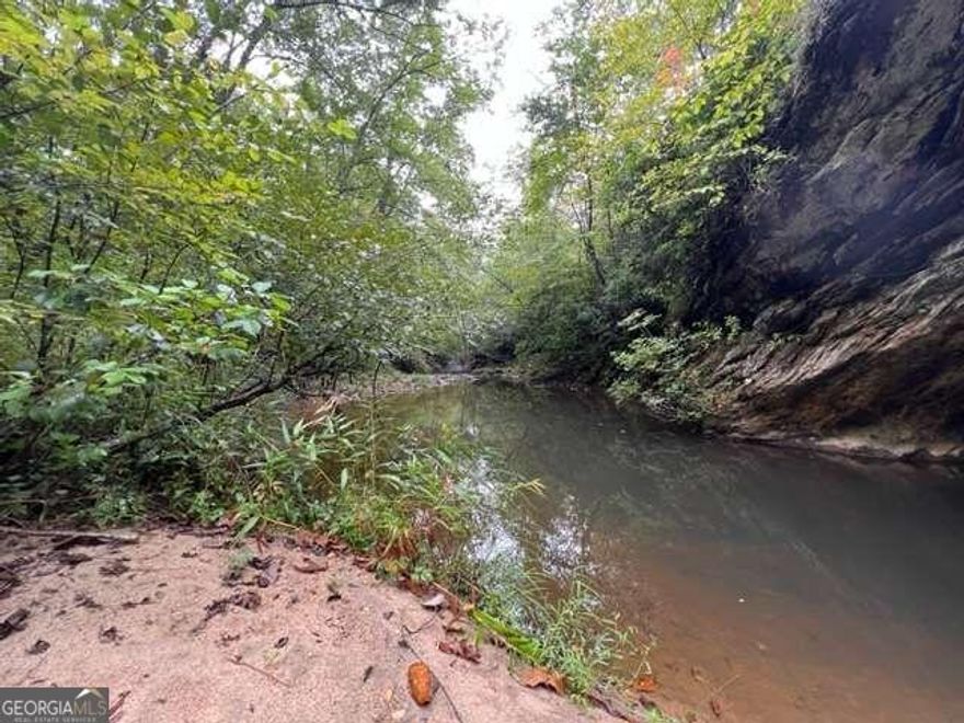 Attention!! Calling all Builders/Developers, Buyers & Investors! Outstanding Opportunity to Develop or Make This Your Own Private Paradise! Located in Desirable Haralson County! This Property Boasts 745 +- Acres of Beautiful, Wooded and Rolling Countryside with Spectacular Views! Both Bush Creek and Beach Creek Run Across this Property! And the Bremen Reservoir Land Boarders the Property. There is Approx. 5900 feet of Road Frontage Along Old Ridgeway Rd. This Fabulous Property would be Perfect for a Multi-Use Development, Equestrian Estate, Off Road Riding, Hunting and Fishing, a Farm, Large Estate Lots and So Much More! The Possibilities are Endless! Trillium Vineyard is just a few miles away! Along with Easy Access to Downtown Bremen and I20! and I20 offers convenient access into Atlanta! Haralson County has numerous great local attractions including Tally Mountain Golf Course, Local Cycling Routes, Fishing/Kayaking/Tubing on the Tallapoosa River, The Depot Museum, The Dogwood Festival in the Spring, Several Local Parks, The Tallapoosa Walking Ghost Tour, and make sure to ring in the New Year at the Possum Drop! Desirable School District! Plus, Local Dining and Local Shopping add to the Country Charm and that Smalltown Rural Feel! All of which makes this a community to call Home! In addition, Bremen has plans for a new downtown Pavillion and Amphitheatre called The Hub! Showings are by Appointment Only. Please contact the listing agent for more details and to schedule a viewing!