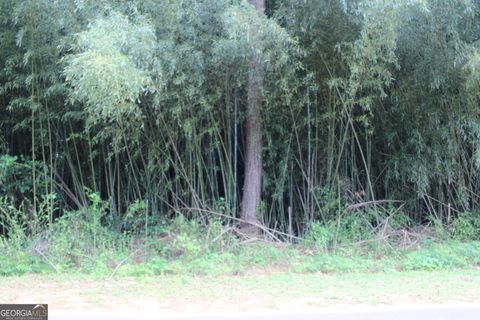 Photo of 0 Liberty Drive, Lumpkin, GA 31815 (MLS # 10517236)