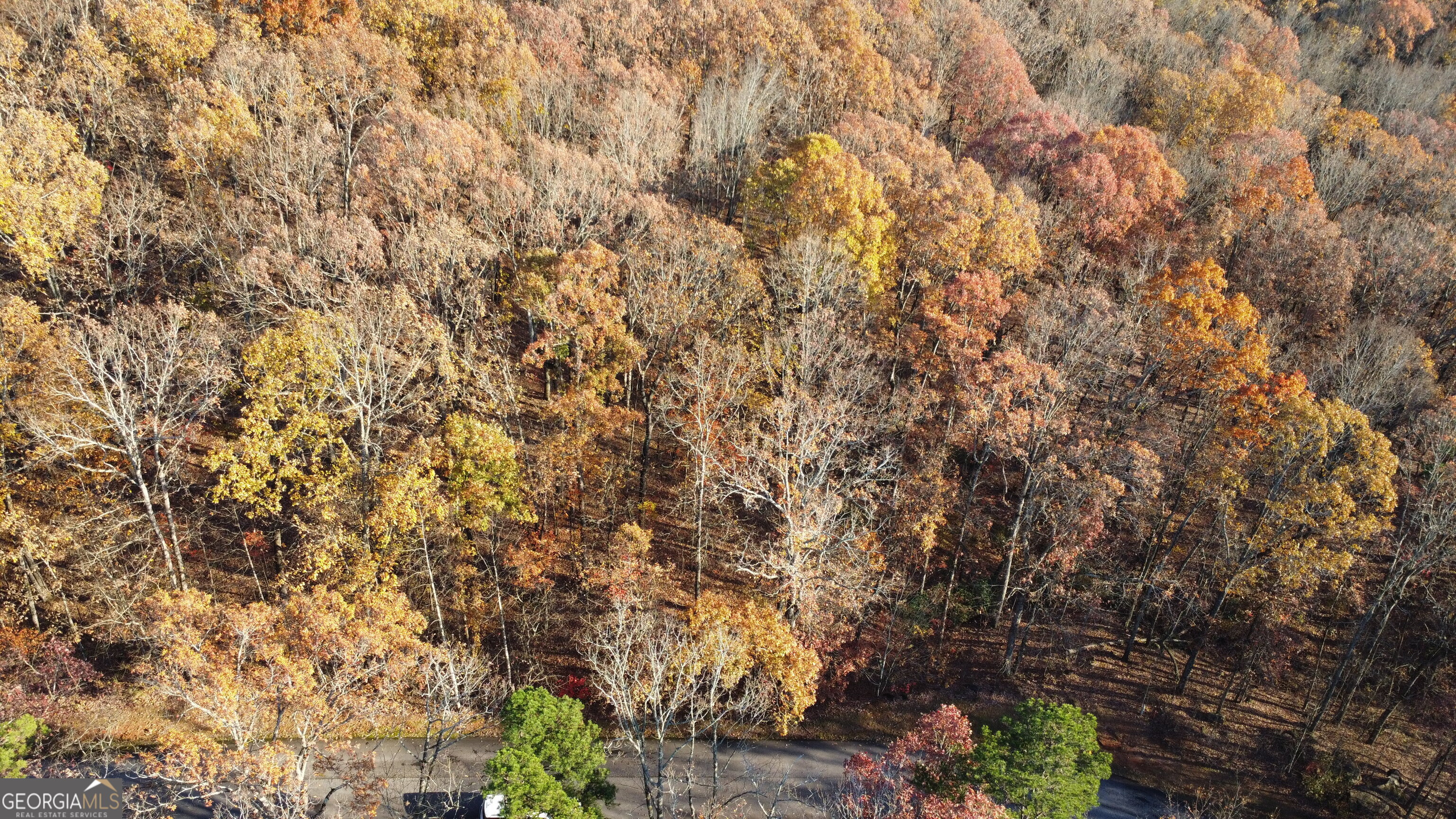 Building lot in the sought after Lake Laceola Community. This 2+ acre lot is an open slate that is ready for your dream home. Located close to downtown Cleveland and all North GA has to offer. This community offers all the best amenities, that include a gated neighborhood, lake, pool, clubhouse, boat storage, boat ramp, kayak storage, mountain views and much more!