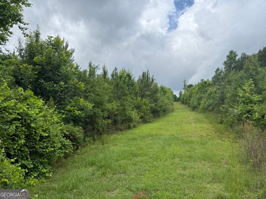 DUB WALKER RD, JACKSON, GA 30233 - Image 4b4e91d7ed67404abc97712f194101f2/3686288412