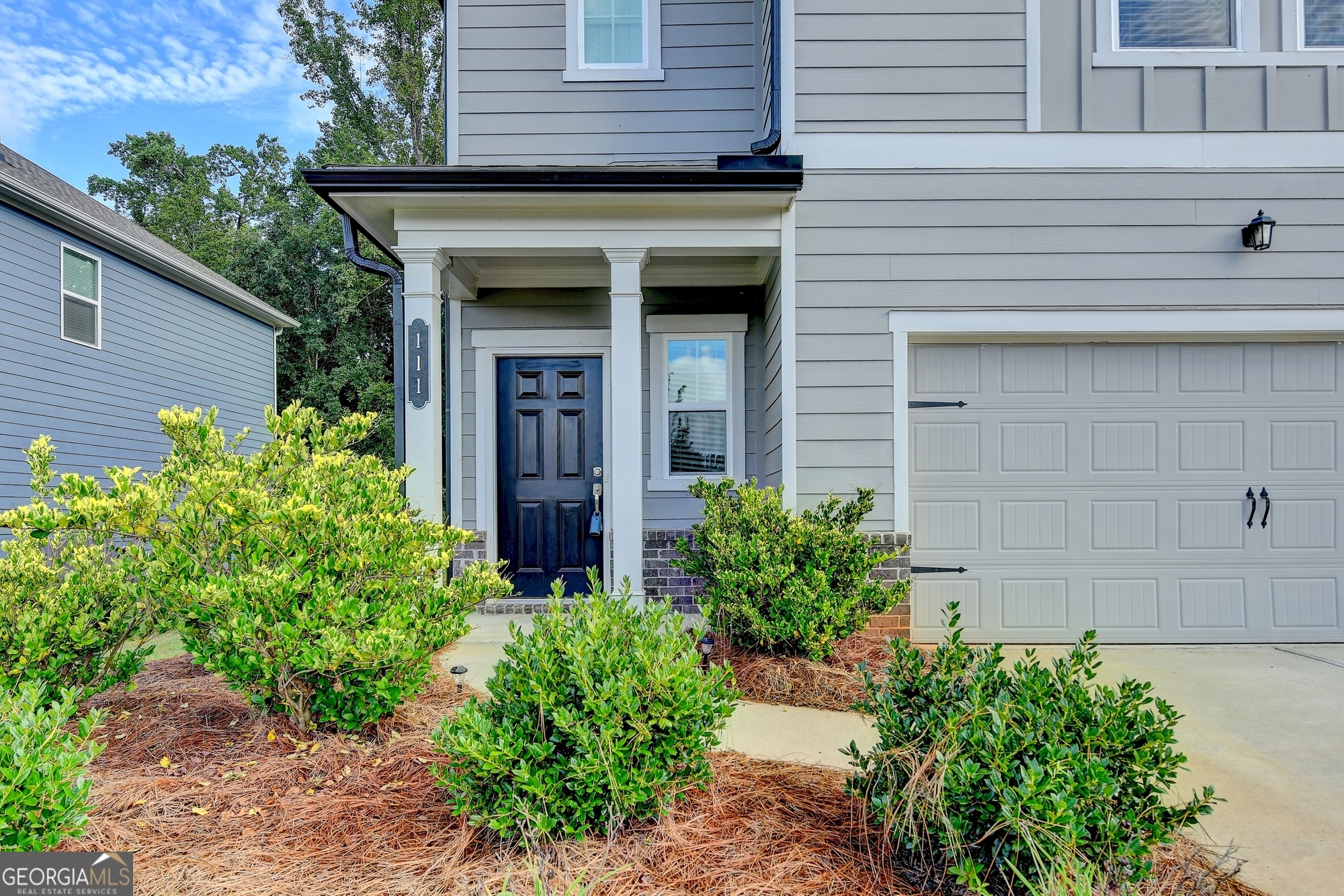 111 Horned Owl AVE