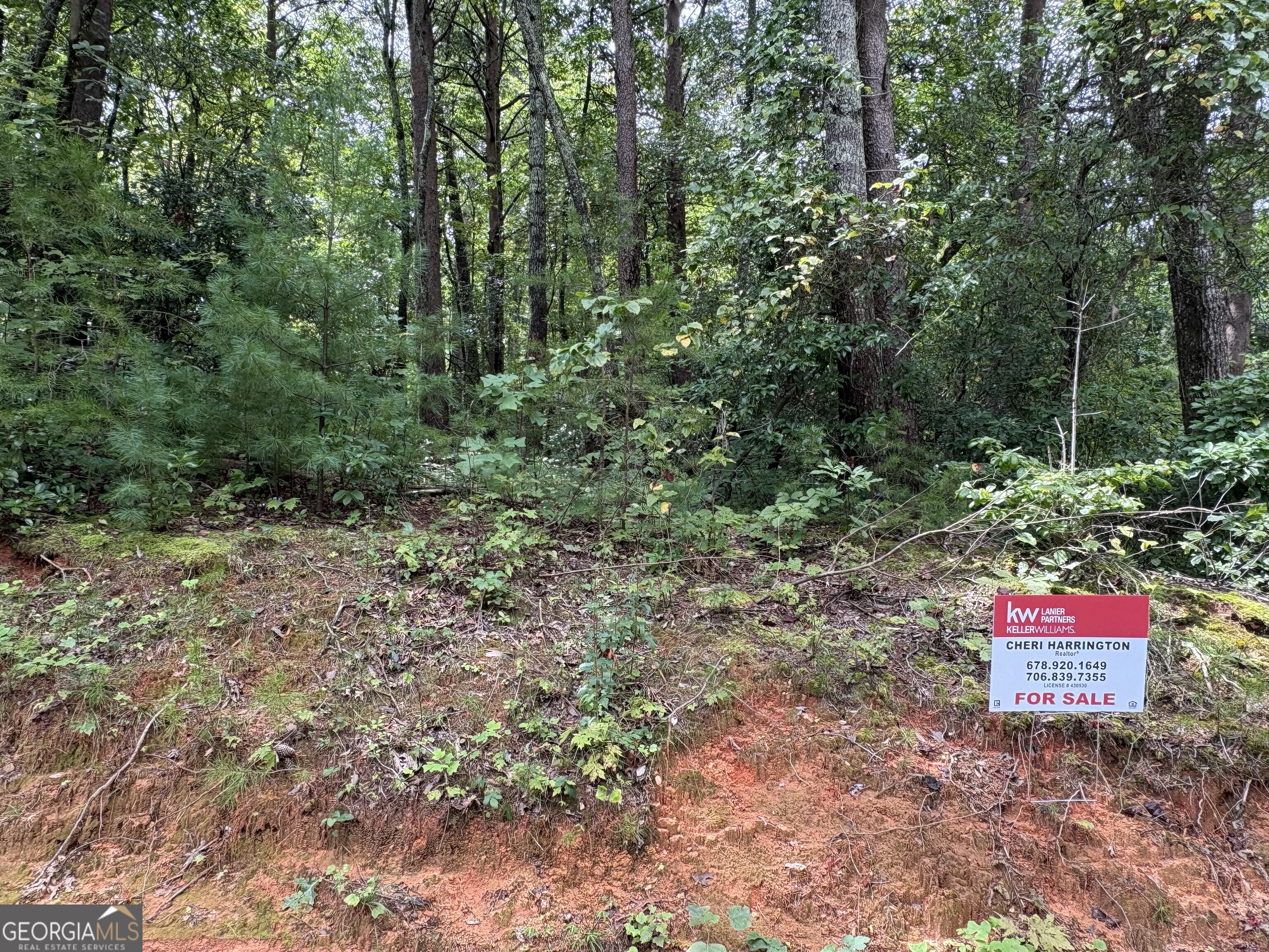 This property offers a gentle slope with a flat, buildable site ~ perfect for your dream home. Enjoy the convenience of town nearby while still being surrounded by the natural beauty of the Northeast Georgia mountains.