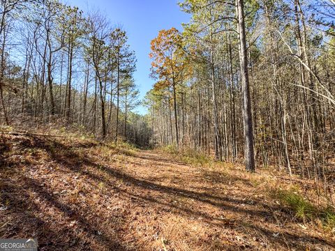 A home in Tallapoosa