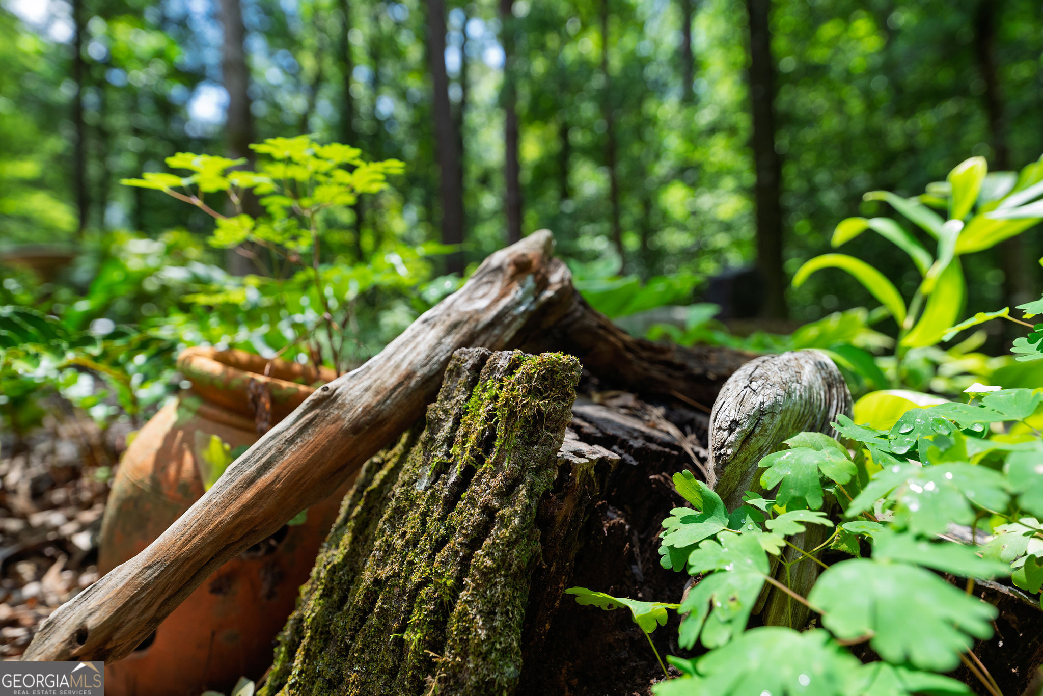 Culloden, Georgia 31016, United States, 3 Bedrooms Bedrooms, ,2 BathroomsBathrooms,Residential,Active,185667