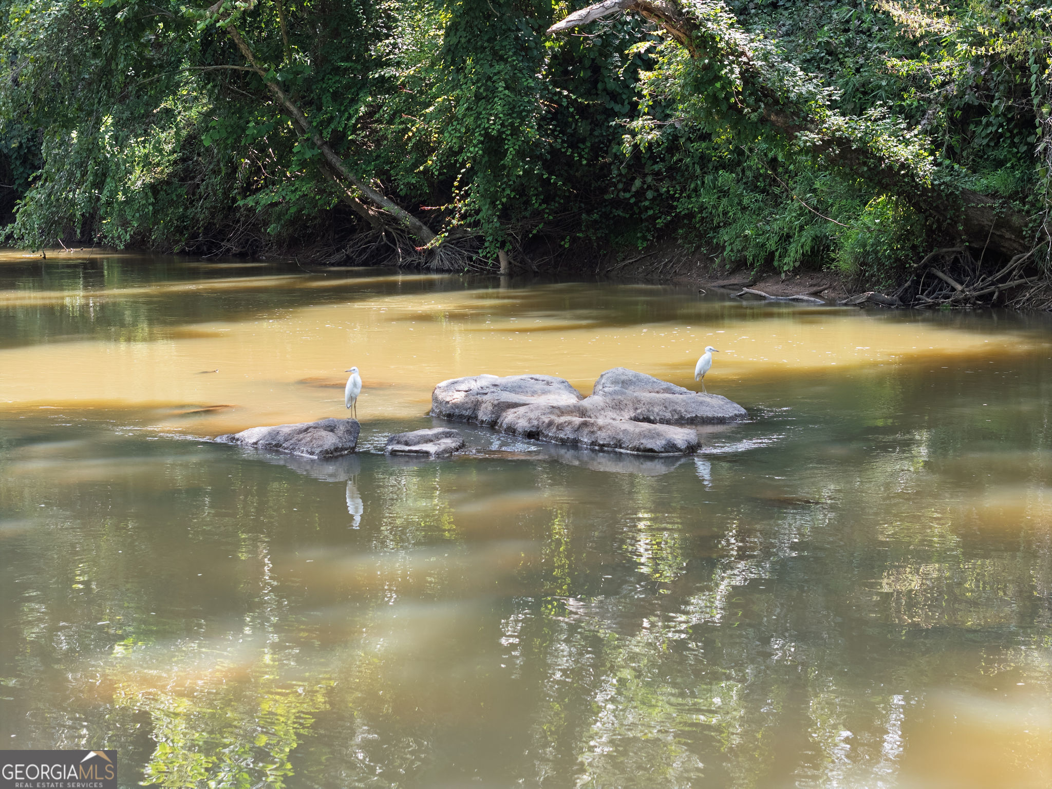 Culloden, Georgia 31016, United States, 3 Bedrooms Bedrooms, ,2 BathroomsBathrooms,Residential,Active,185667
