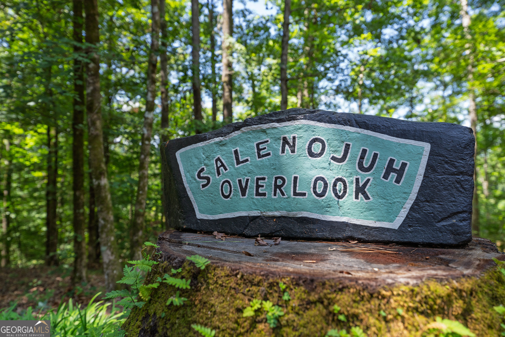 Culloden, Georgia 31016, United States, 3 Bedrooms Bedrooms, ,2 BathroomsBathrooms,Residential,Active,185667