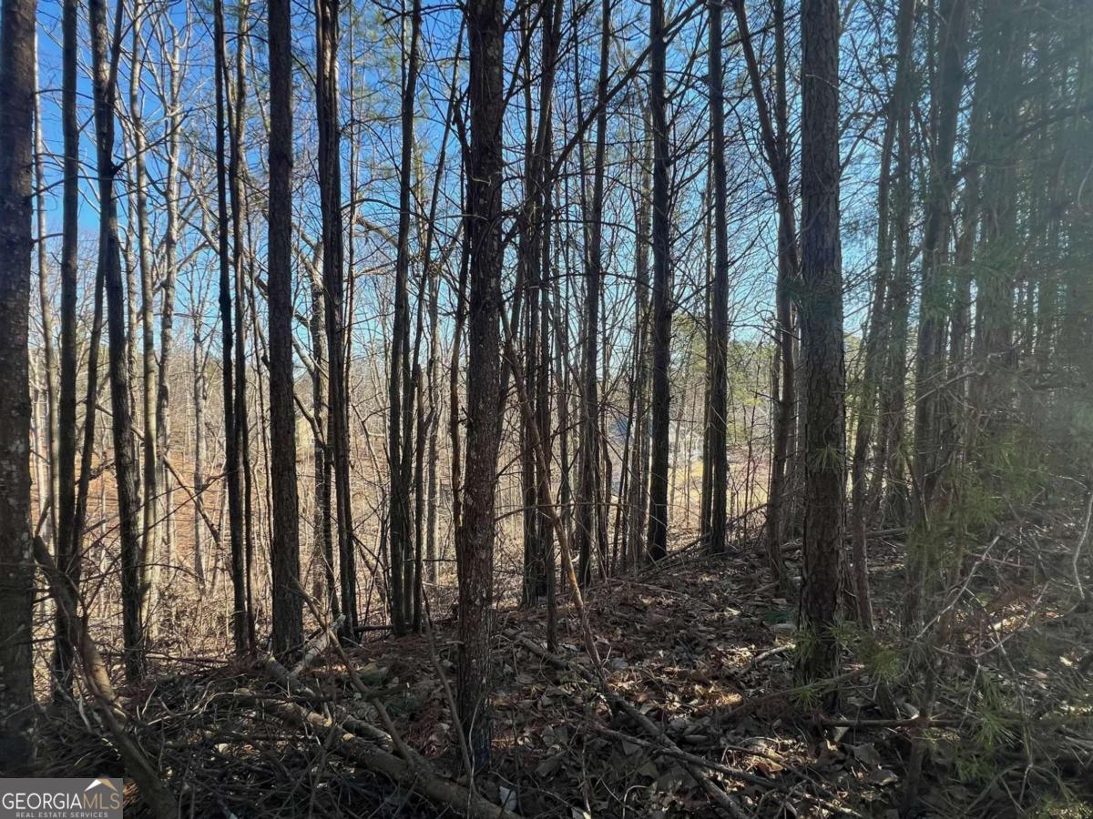 Silver Creek - Land
