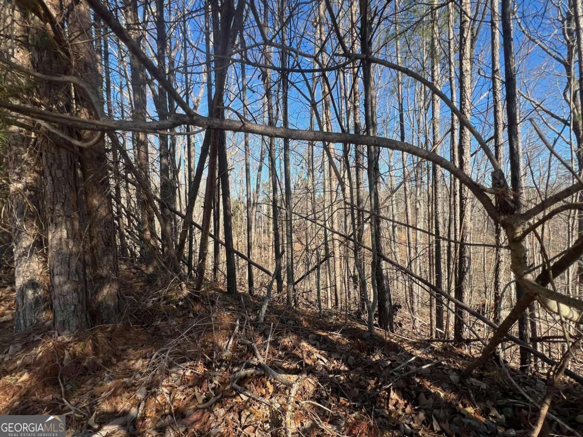 Silver Creek - Land