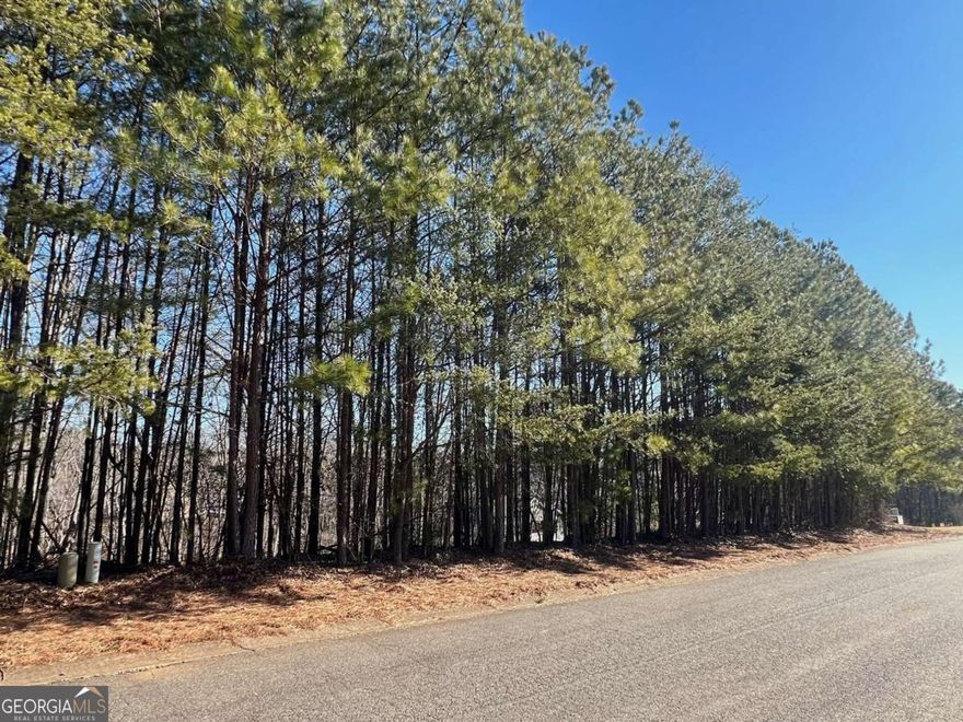 This beautiful 0.69-acre lot is nestled in the highly desirable Silver Creek neighborhood, offering the perfect setting for your custom basement-style home. The lot is thoughtfully positioned off the main road, ensuring privacy and tranquility, with a lush wooded backdrop providing a serene natural atmosphere.  As one of three adjoining lots currently available (see FMLS 7508573 and FMLS 7508574), this is a rare opportunity to build an established community that combines charm and convenience. Located in Silver Creek, it is just a short 20-minute drive to both Canton and Jasper, providing easy access to shopping, dining, and entertainment. DonCOt miss out on the chance to create your dream home in this prime location.