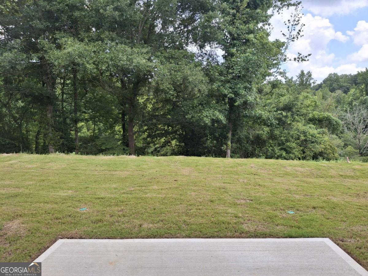 2865 Bullfrog Lane Lot 169 169