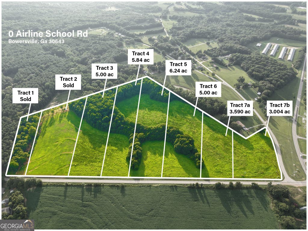Photo of 0 Airline School Road #TRACT 7B, Bowersville, GA 30516 (MLS # 10808762)
