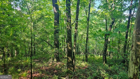 Photo of 0 Cornsilk, Tiger, GA 30576 (MLS # 10794735)