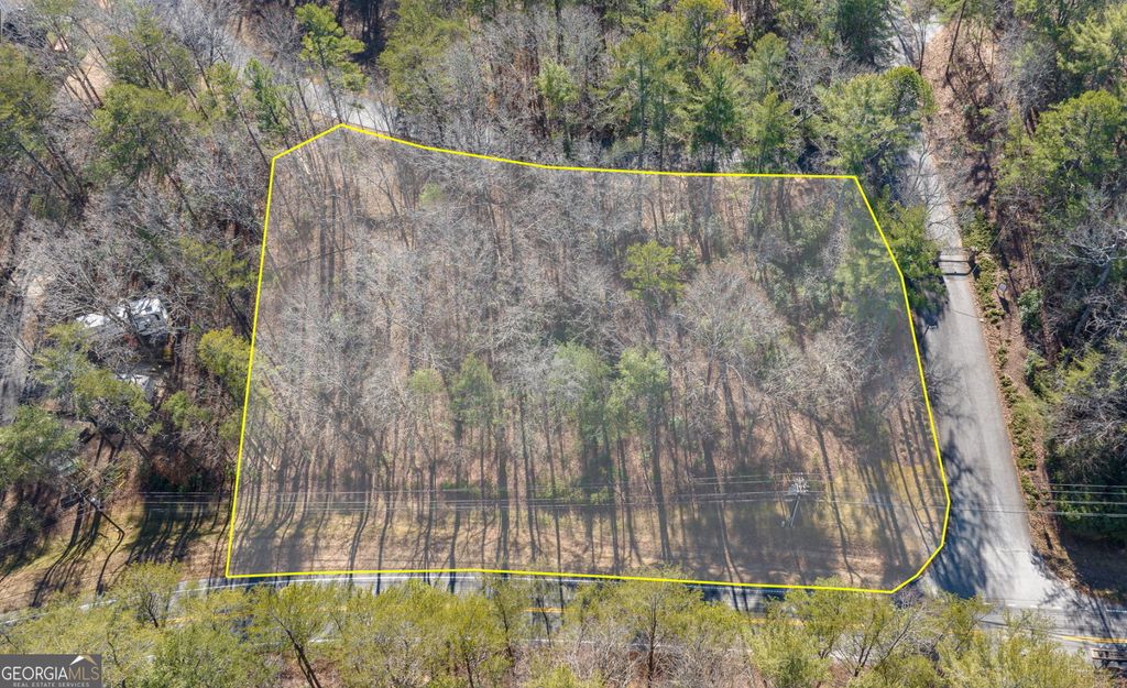Photo of 0 Highway 356, Helen, GA 39545 (MLS # 10728966)