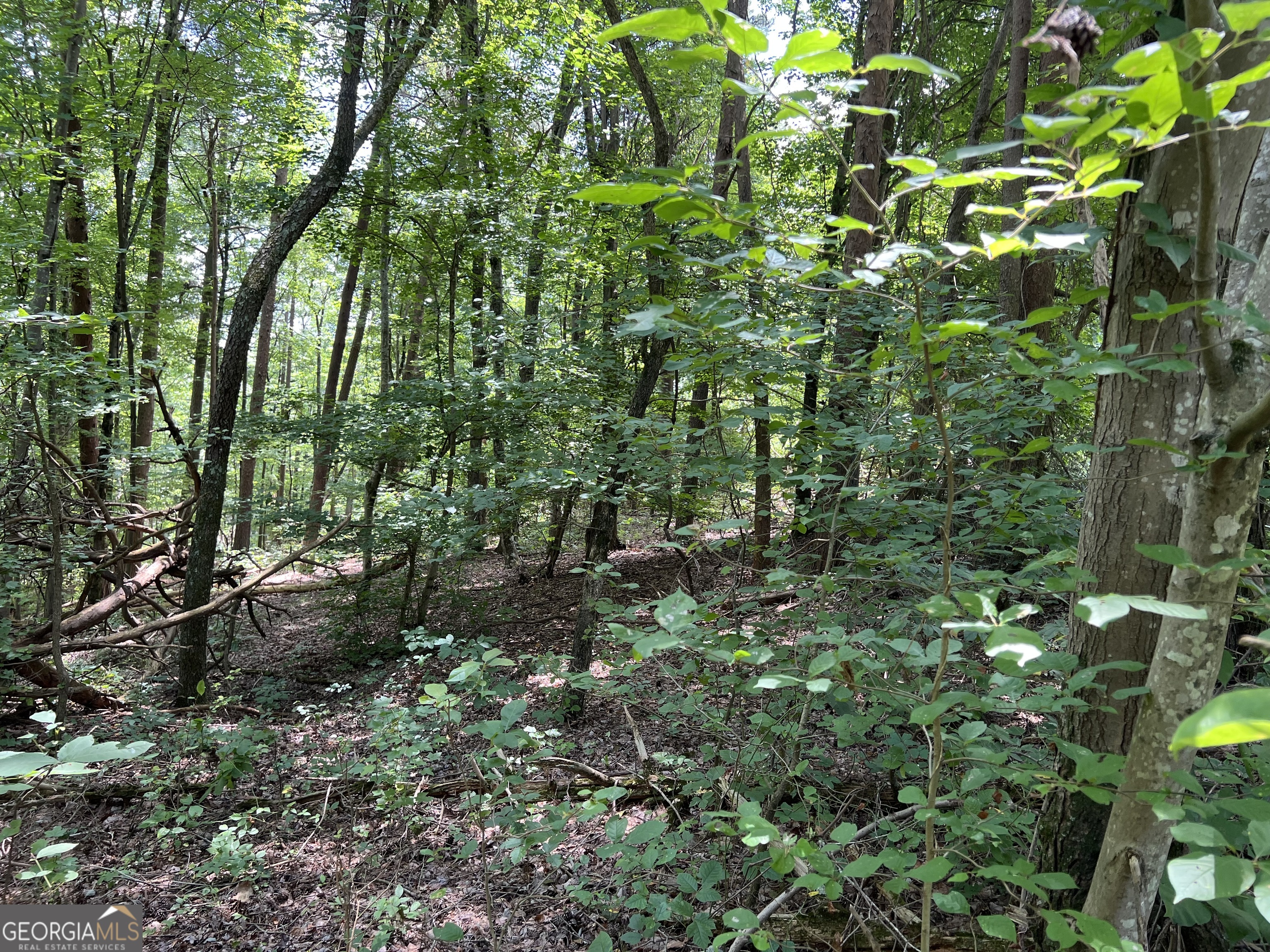 Build your dream home on this beautiful corner lot in Lavender Mountain Estates! Probable valley view with vista trimming. Gently sloping near the road, steeper slope the farther in you go. Private and quiet. Close to Berry College, the Big Texas Valley area, Rocky Mountain Recreation Area, 16 minutes from Advent Health Redmond Hospital. Twenty minutes from downtown Rome and all the dining, shopping, and entertainment Rome is known for. Two sides of the lot are bordered by drainage culverts filled with rocks. These will create rushing streams during rain.