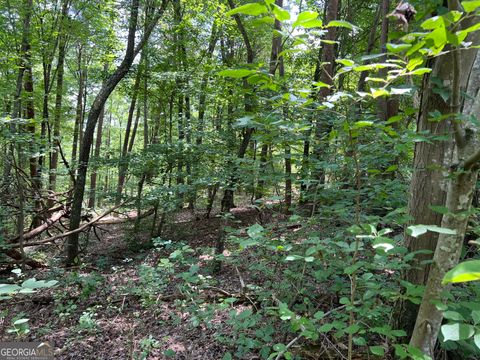 Photo of 0 Lavender Trail, Rome, GA 30165 (MLS # 10553634)