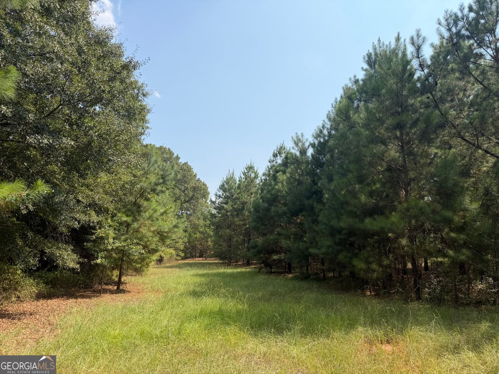 Photo of 14 S Carter Fish Pond Road, Plains, GA 31780 (MLS # 10817045)