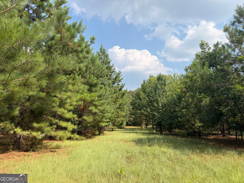 Photo of 14 S Carter Fish Pond Road, Plains, GA 31780 (MLS # 10817045)