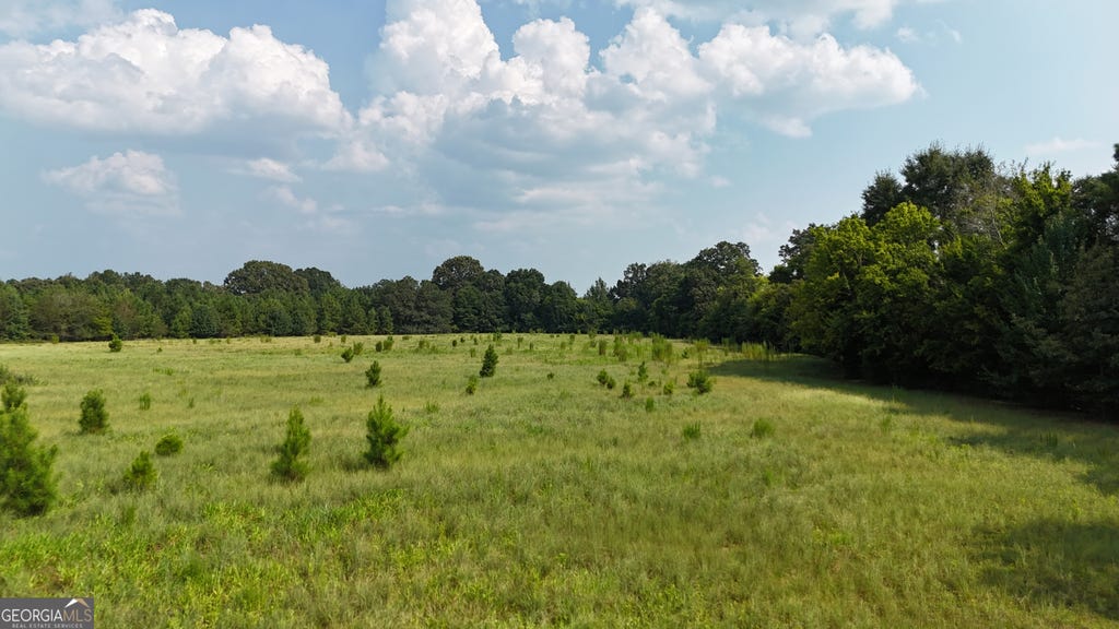 Photo of 14 S Carter Fish Pond Road, Plains, GA 31780 (MLS # 10817045)